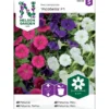 Frø minipetunia