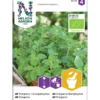 Frø oregano