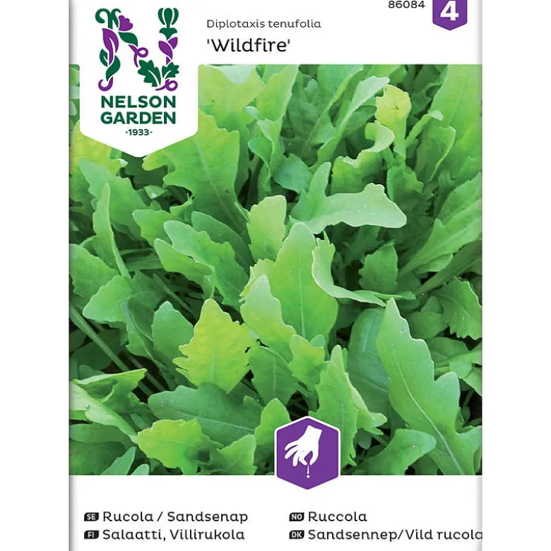 Frø ruccola