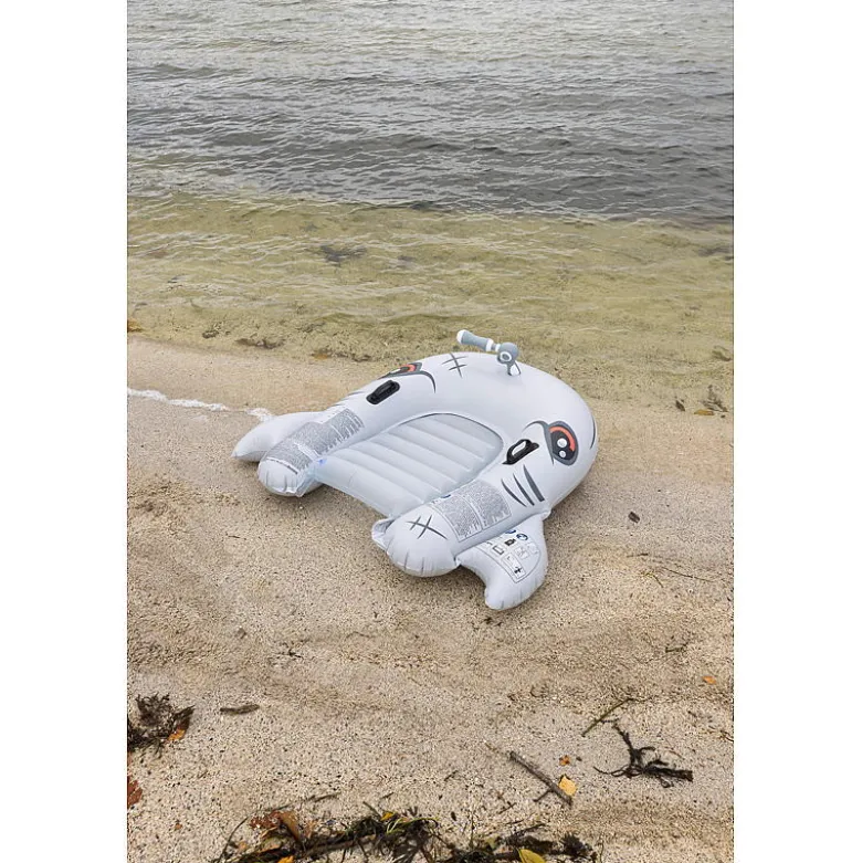 Hai kickboard