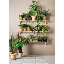 Hengeplante