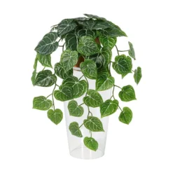 Hengeplante