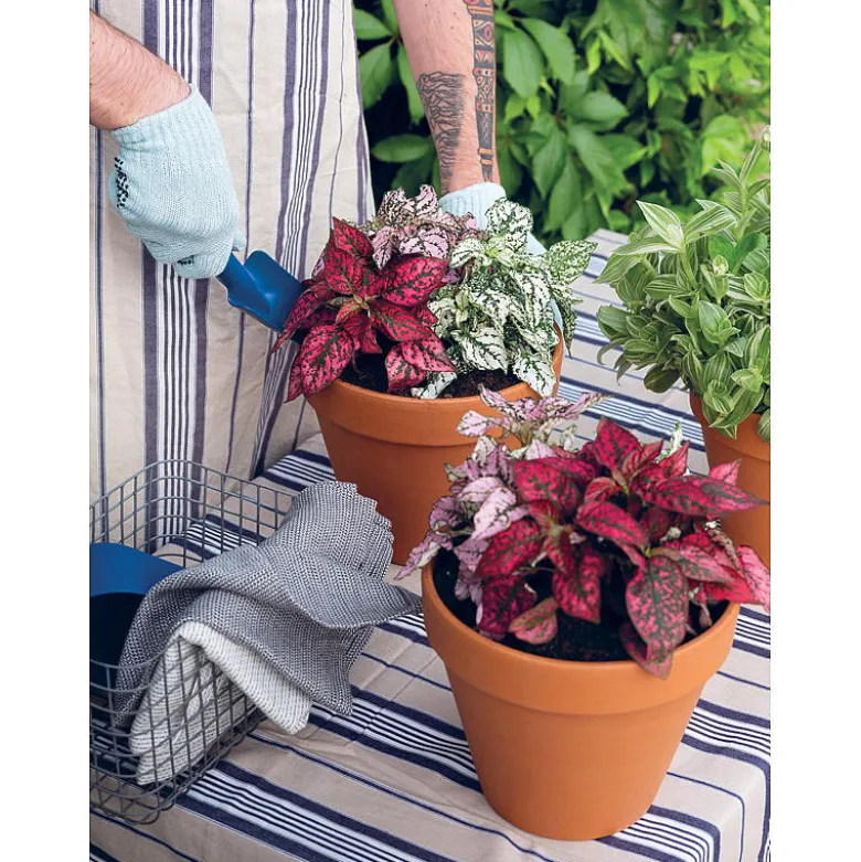Krukke ø 11 cm